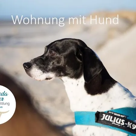 Apartamento Haus Jungnamen Whg. Nr. 8 *